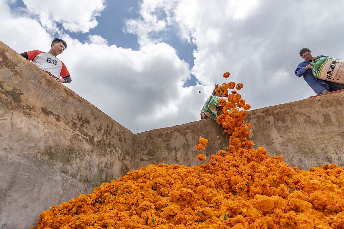 红河哈尼族彝族自治州财经学校计算机艺术设计专业招生