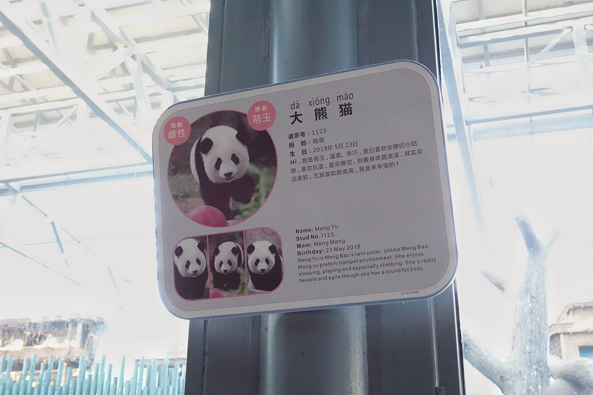 萌宝萌玉为什么不分开？成语解释及拓展内容