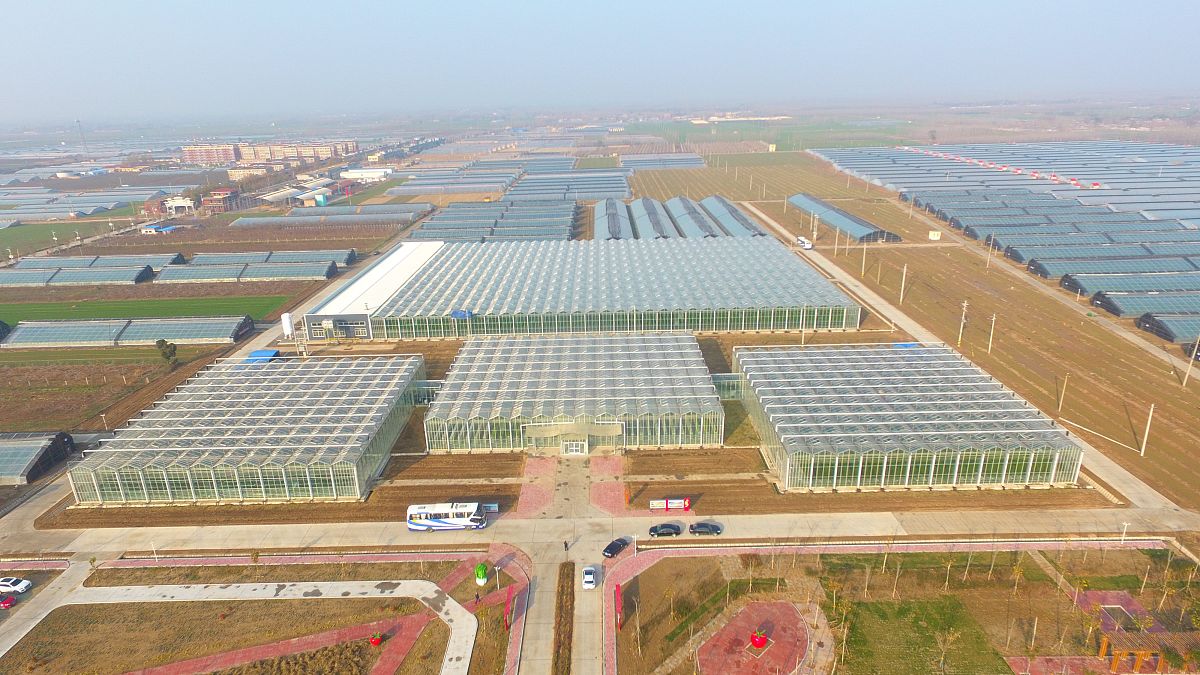 智慧大棚PPT大纲：详细解读智能农业技术