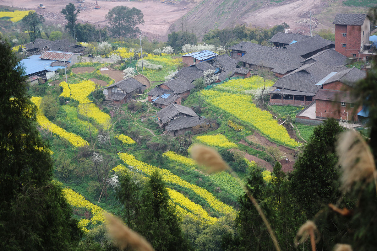 四川省马尔康民族师范学校2019招生简章 - 培养少数民族优秀教师