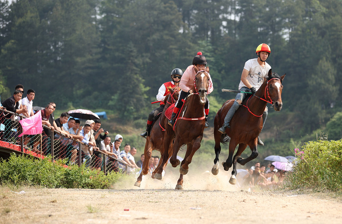 贵州三都赛马贵州三都赛马是贵州省三都水族自治县举办的一项传统民俗活动已有数百年历史。每年农历正月十七三都水族自治县都会举办盛大的赛马活动吸引了大量游客前来观看。比赛分为两个环节：第一环节是选手骑马跑步第二环节是选手骑马穿越障碍赛道。比赛的难点在于马匹的配合和选手的控制能力需要选手有较高的驾驭技巧和勇气。赛马活动不仅是三都水族自治县的传统文化也是当地人民的生活方式和信仰习俗被视为祈求丰收和平安的重要