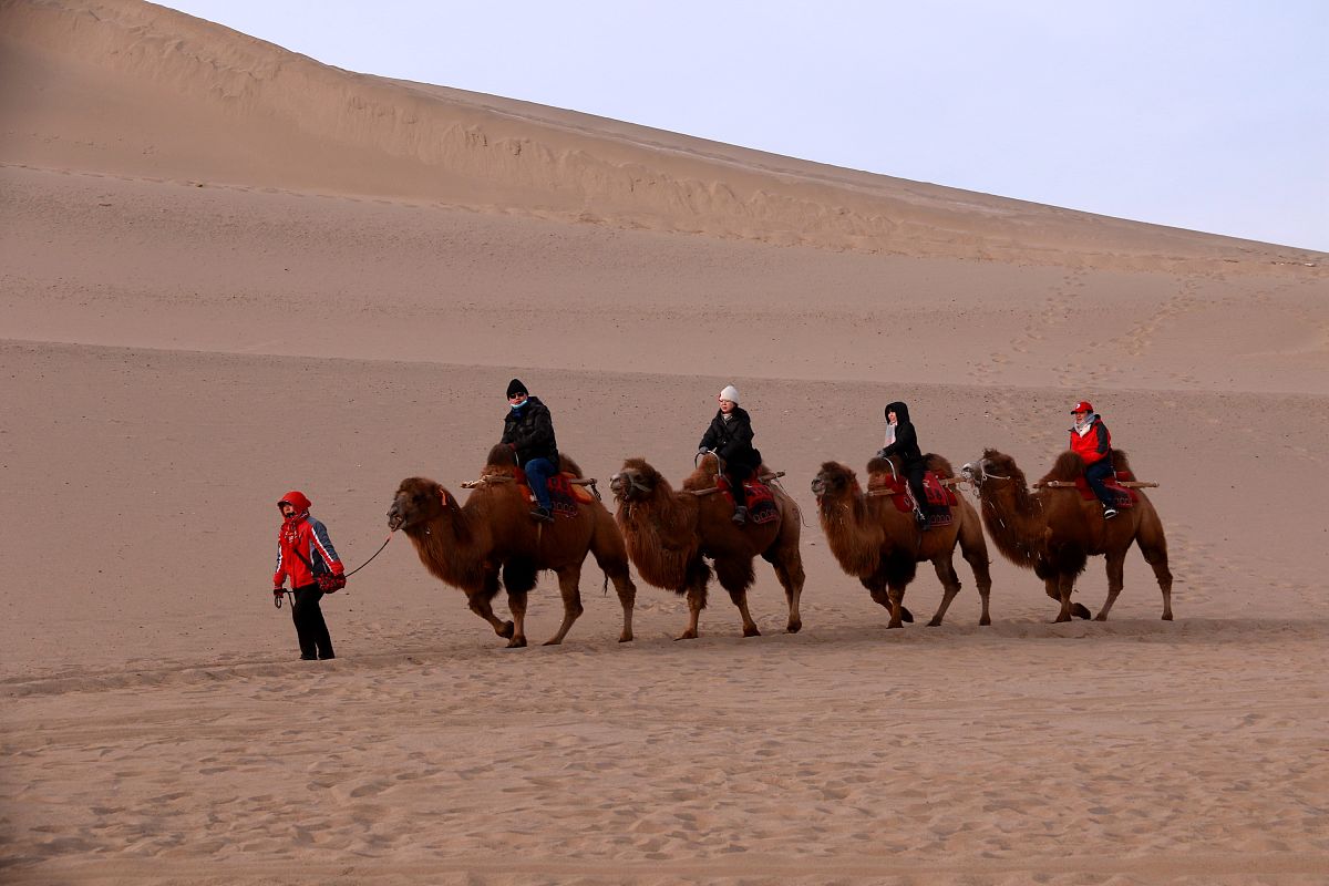 甘肃化学检测专业中专中职学校有哪些？2022年最新名单