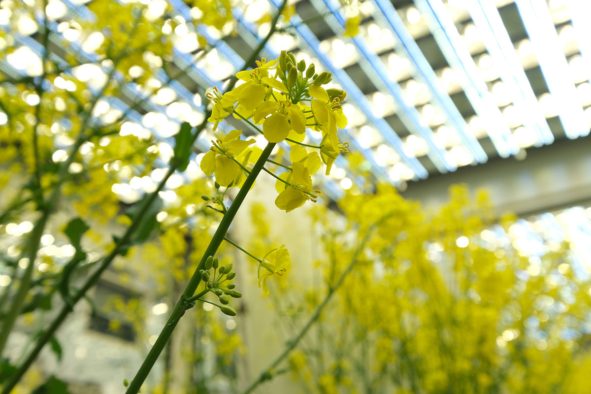 延安中专学校一般读几年好不好