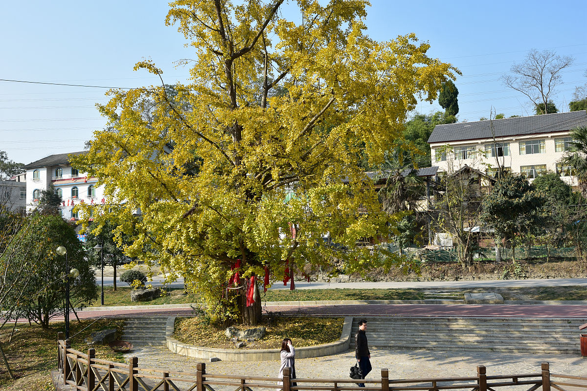 2019年遵义市红花岗区中等职业学校招生简章