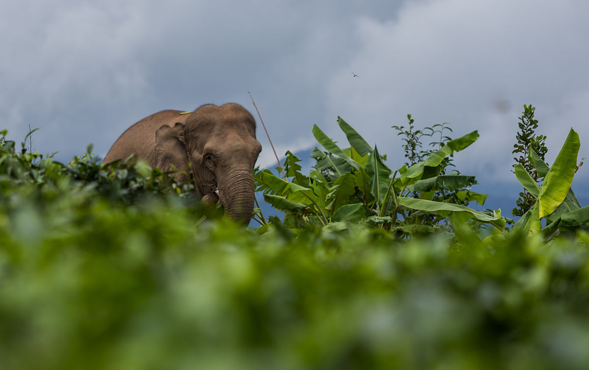 云南省初中生报考医学院校指南：2021年招生院校推荐