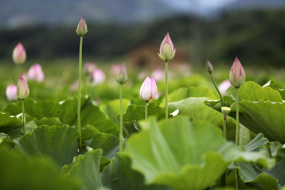 湖南有什么中专中职学校的计算机应用技术专业好