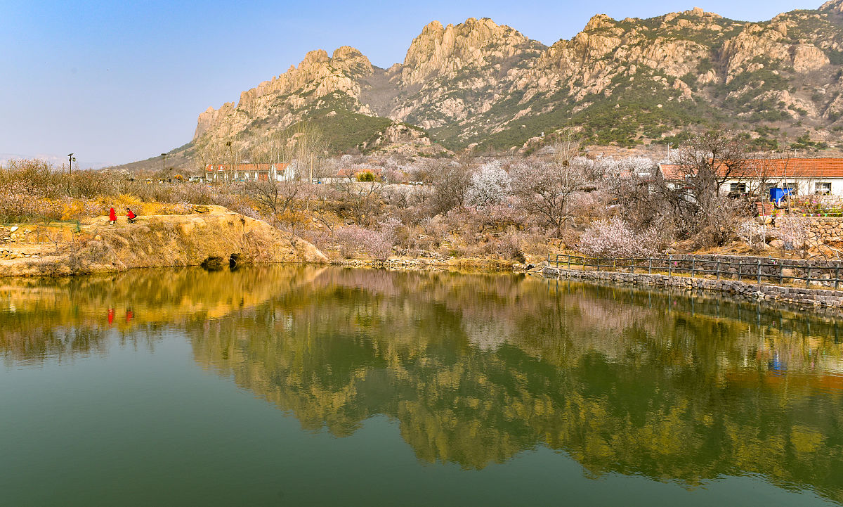 2021年3月14日,农历二月二,在风景秀丽的山东省日照市五连山下叩官镇
