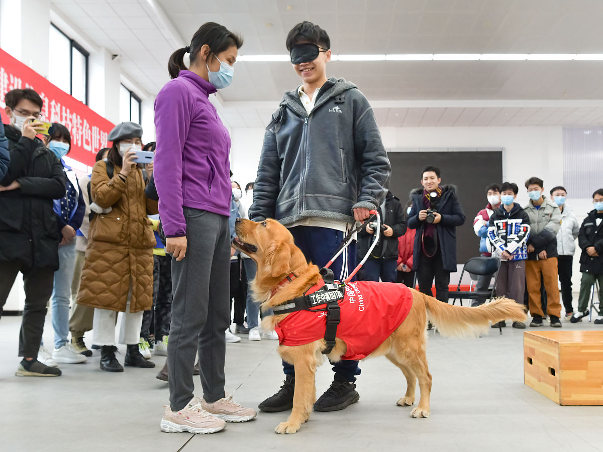 导盲犬禁止入内盲人看不到怎么办
