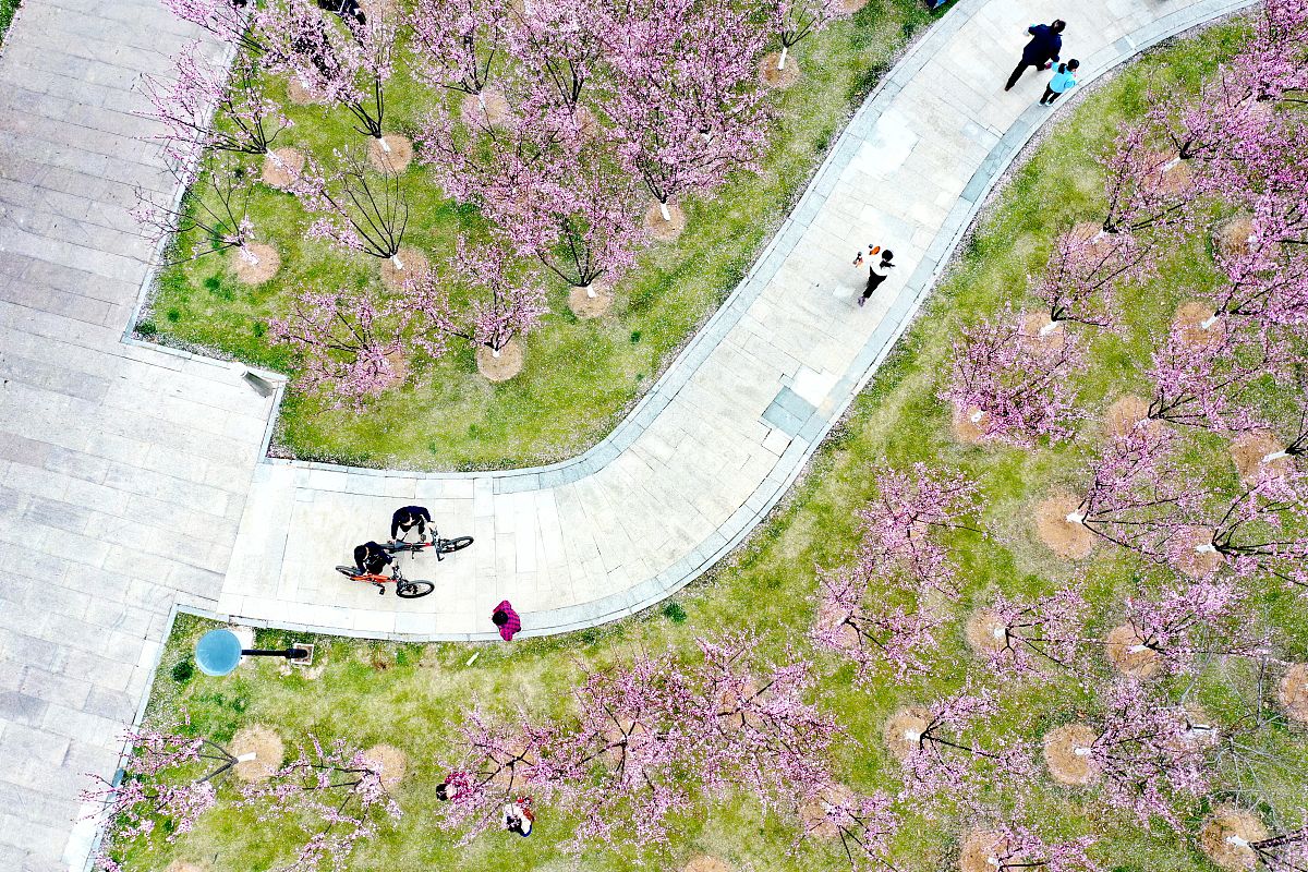 乐清市旅游攻略：3天2夜行程安排