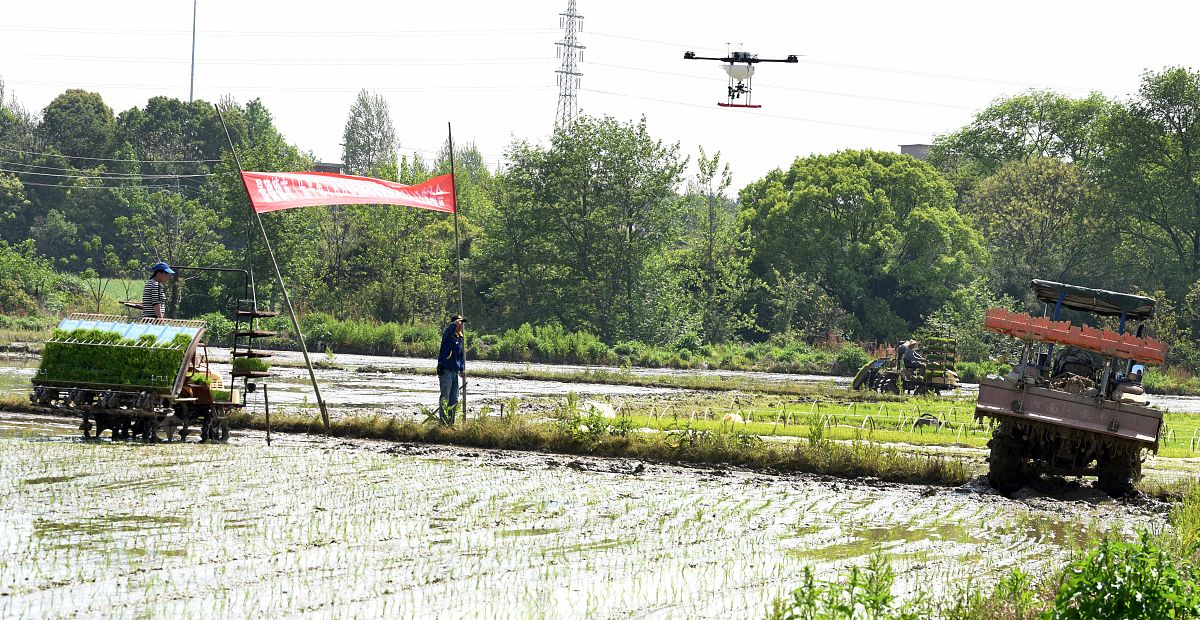 重庆农业学校农机系：培养农机技术人才的摇篮
