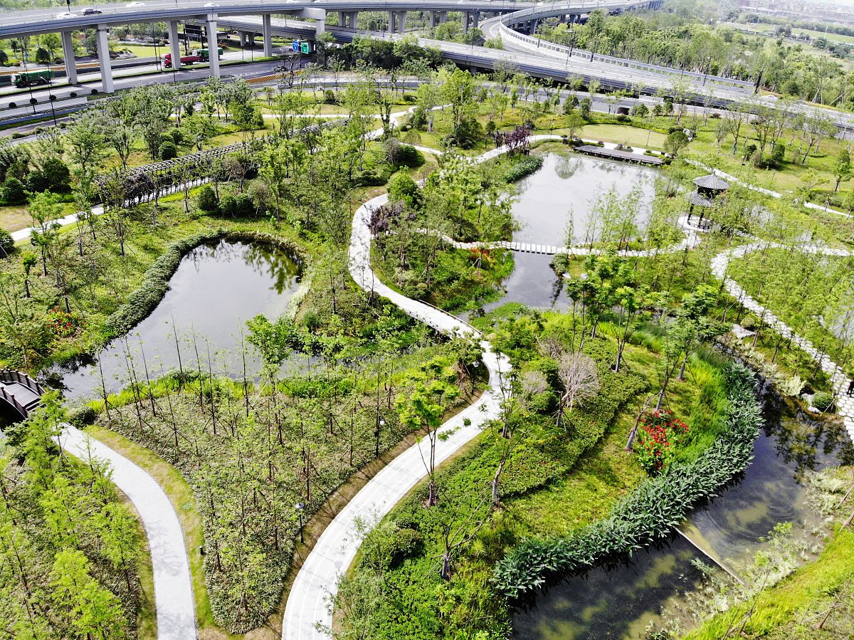 城市园林设计与可持续发展：构建绿色生态城市