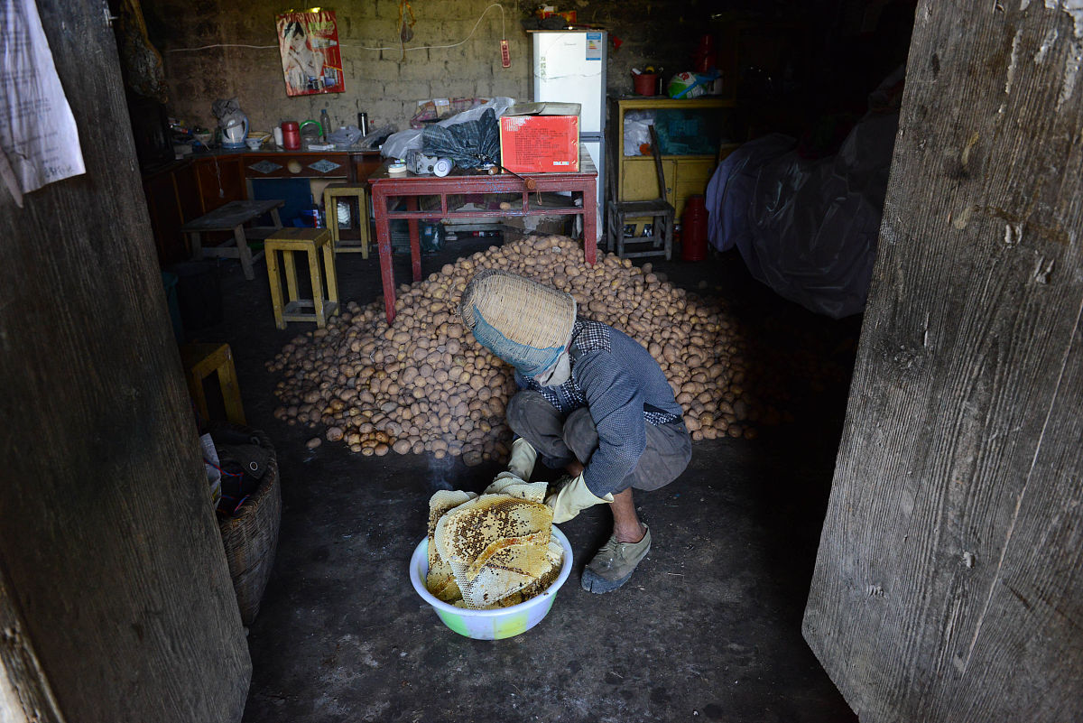 重庆市工业学校会计电算化专业优势怎么样发展前景好不好呢