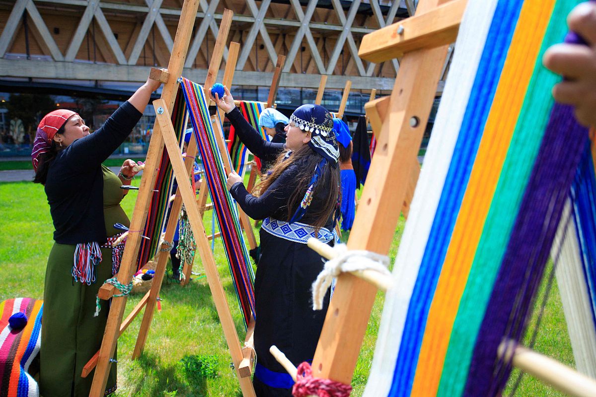 动物园保洁工作总结：挑战与重要性