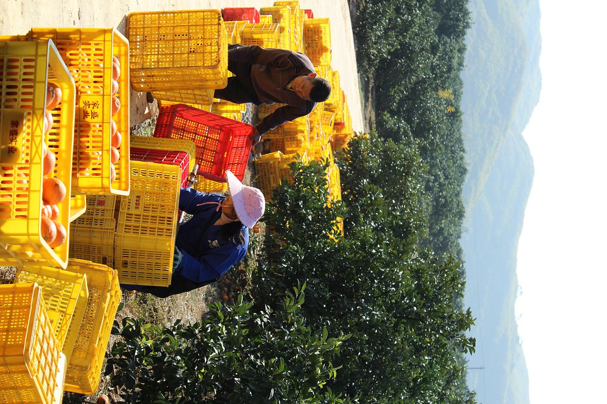 发个信息只是想说我一直在等我的2017怎么回复