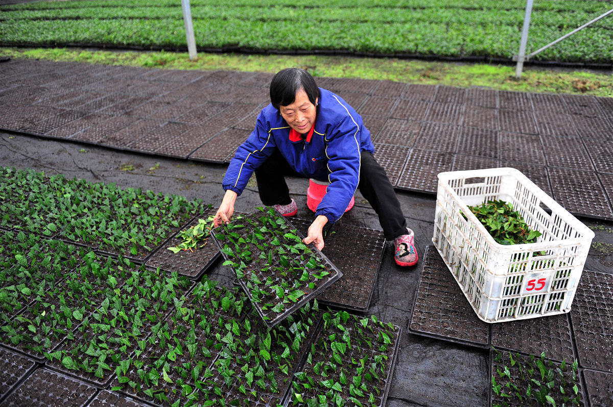 宜昌卫校招生分数线：100分能上吗？