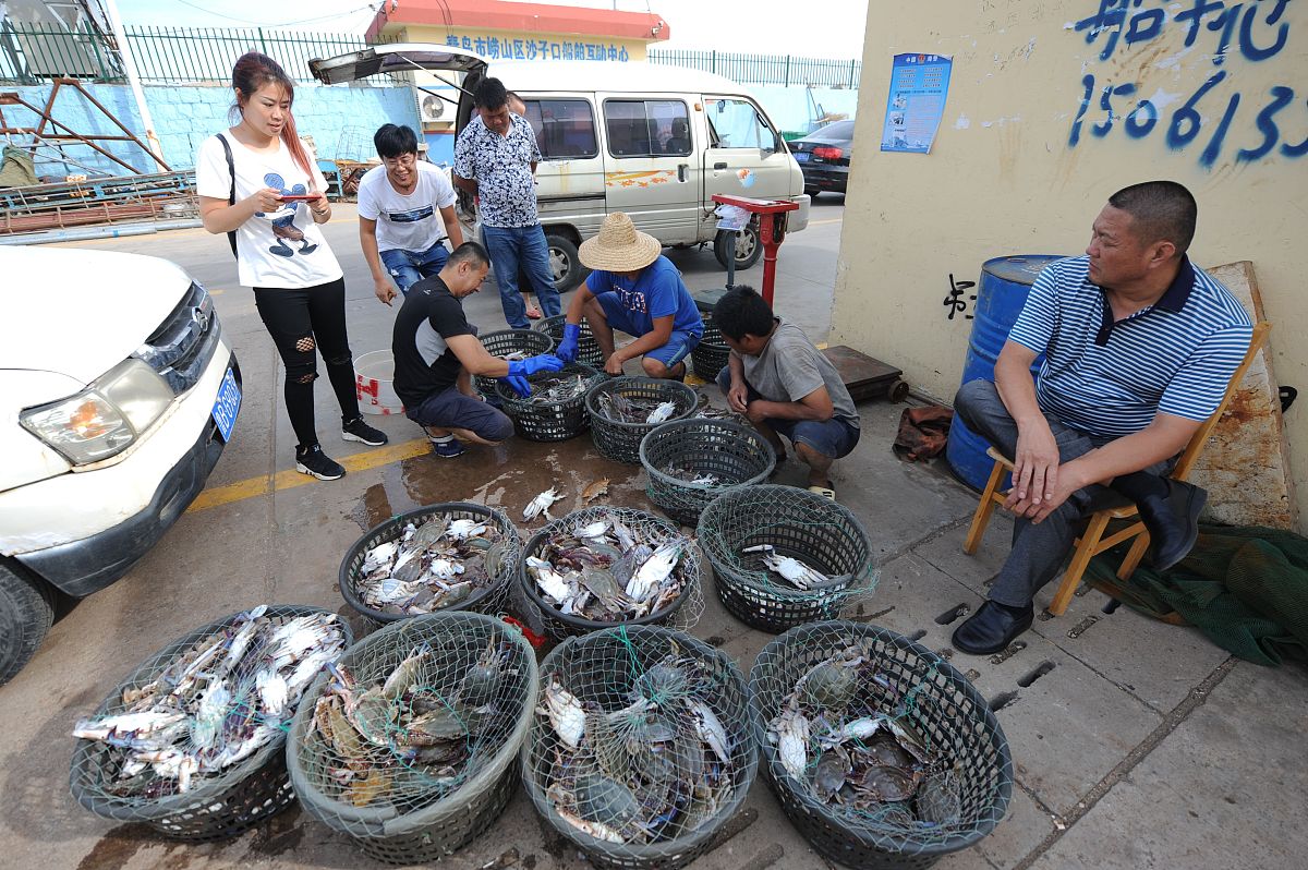 海鲜安全指南：营养师教你健康吃海鲜，远离污染风险！