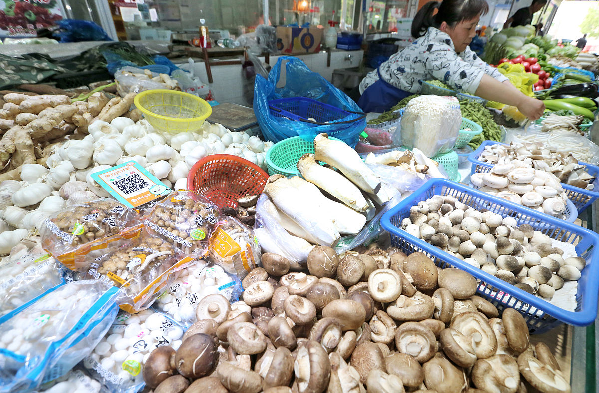 崇左市杏鲍菇销售火爆，市场前景广阔！