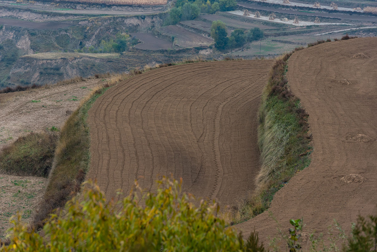 祼地治理成效总结