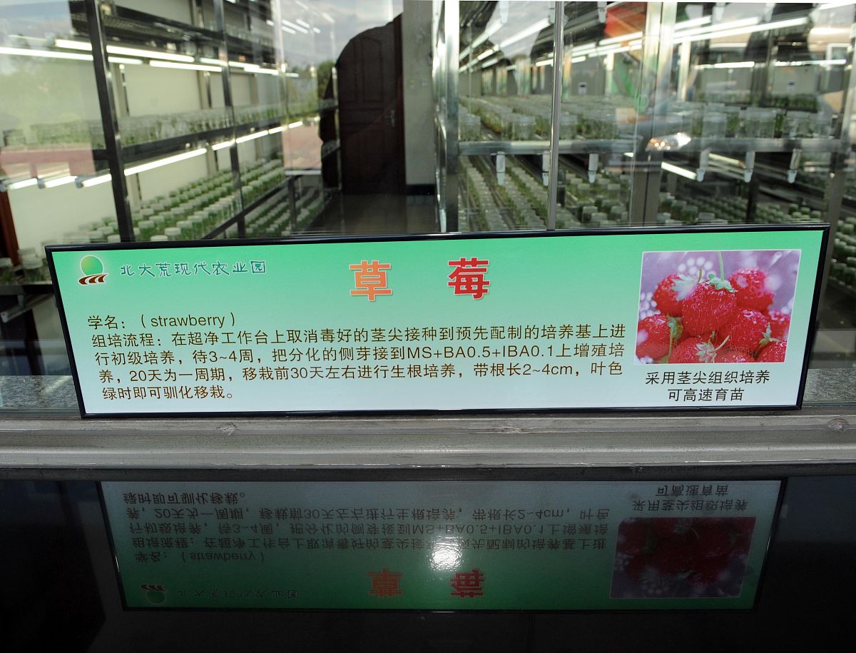 黑龙江农业职业技术学院食品加工技术专业就业前景分析