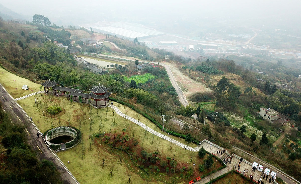 (如需下载使用,请务必署名:红星新闻  王红强/视觉中国,谢谢)2019年2