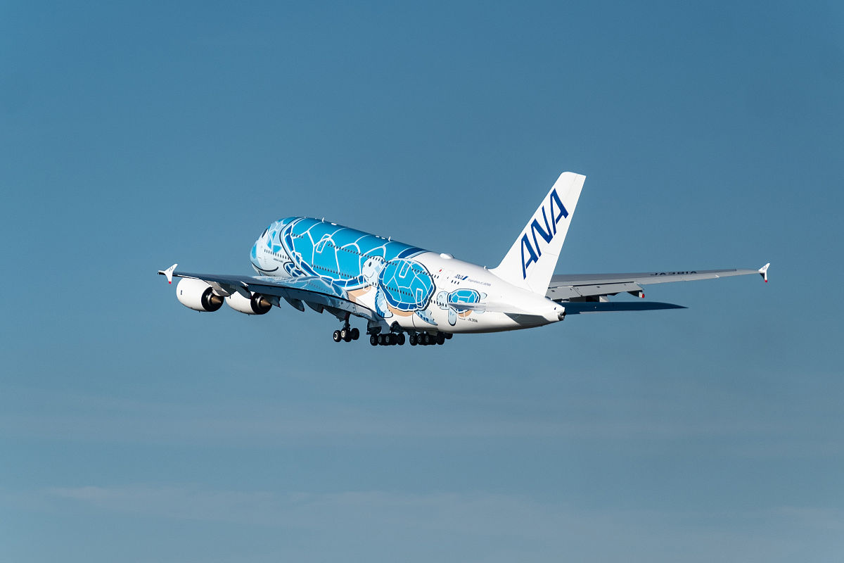 云南省林业学校航空空乘专业招生简章（3+2五年制）