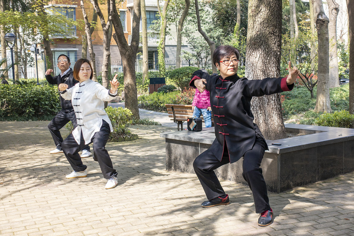 根据抖音播放数据以什么形式拍摄关于武术、形意拳的短视频能让观看的人最多