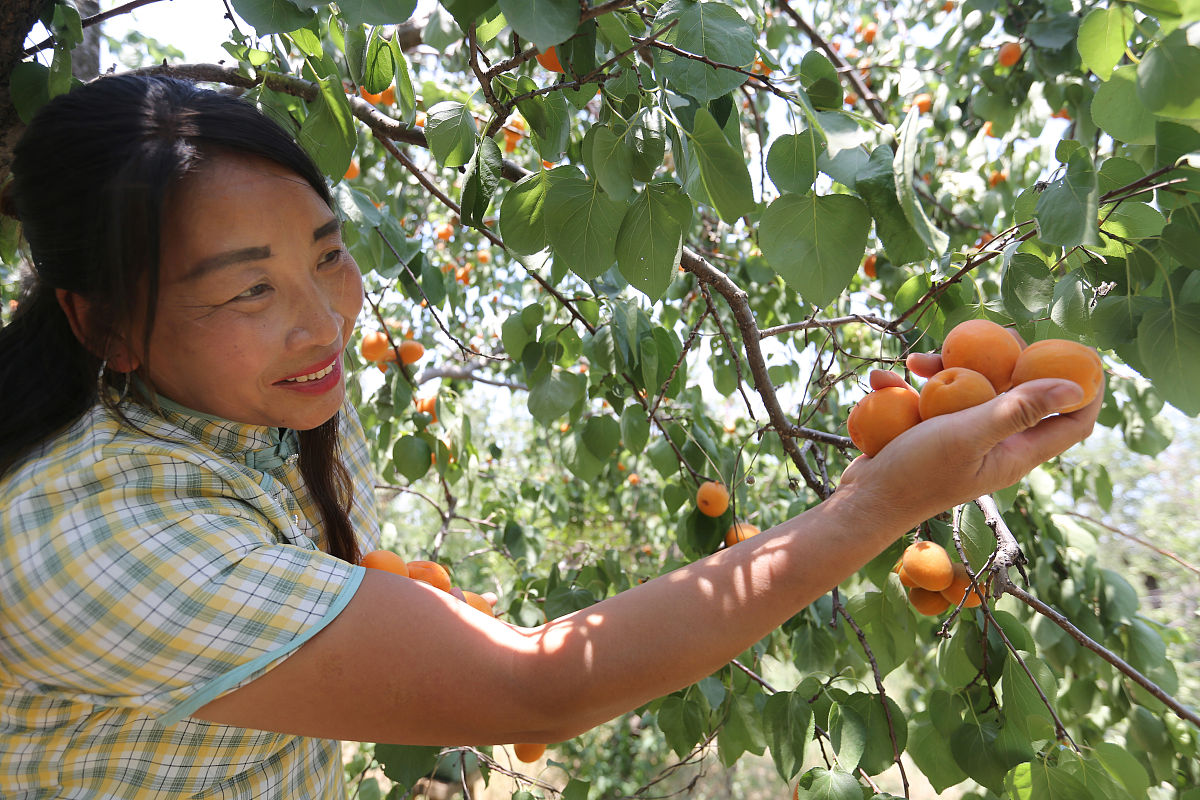 西安海棠职业学院包装技术与设计专业就业前景分析 - 未来发展方向