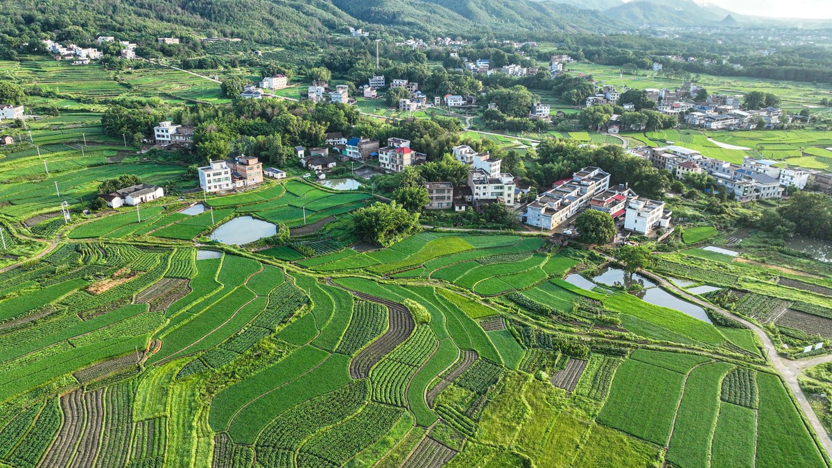 乡村旅游发展指南：如何发展乡村旅游，以及带来的益处