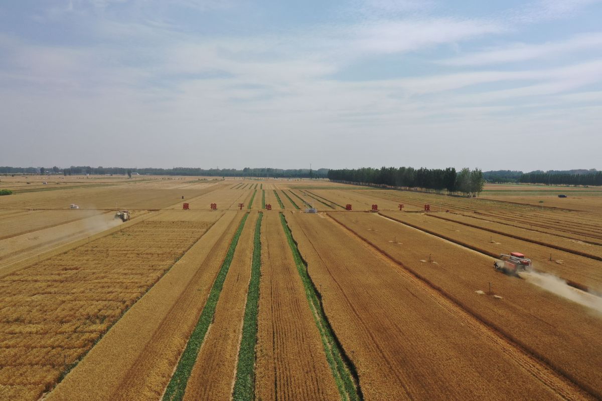 河南省的农业地位