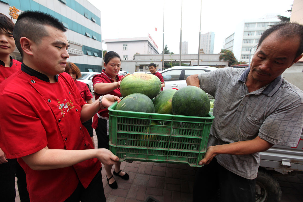 驻马店女生买瓜遇骗局：5个西瓜全变质，警惕街头卖惨骗局！