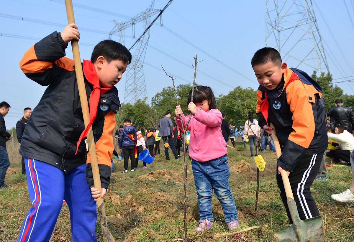 关于亲子徒步户外活动报告2000字