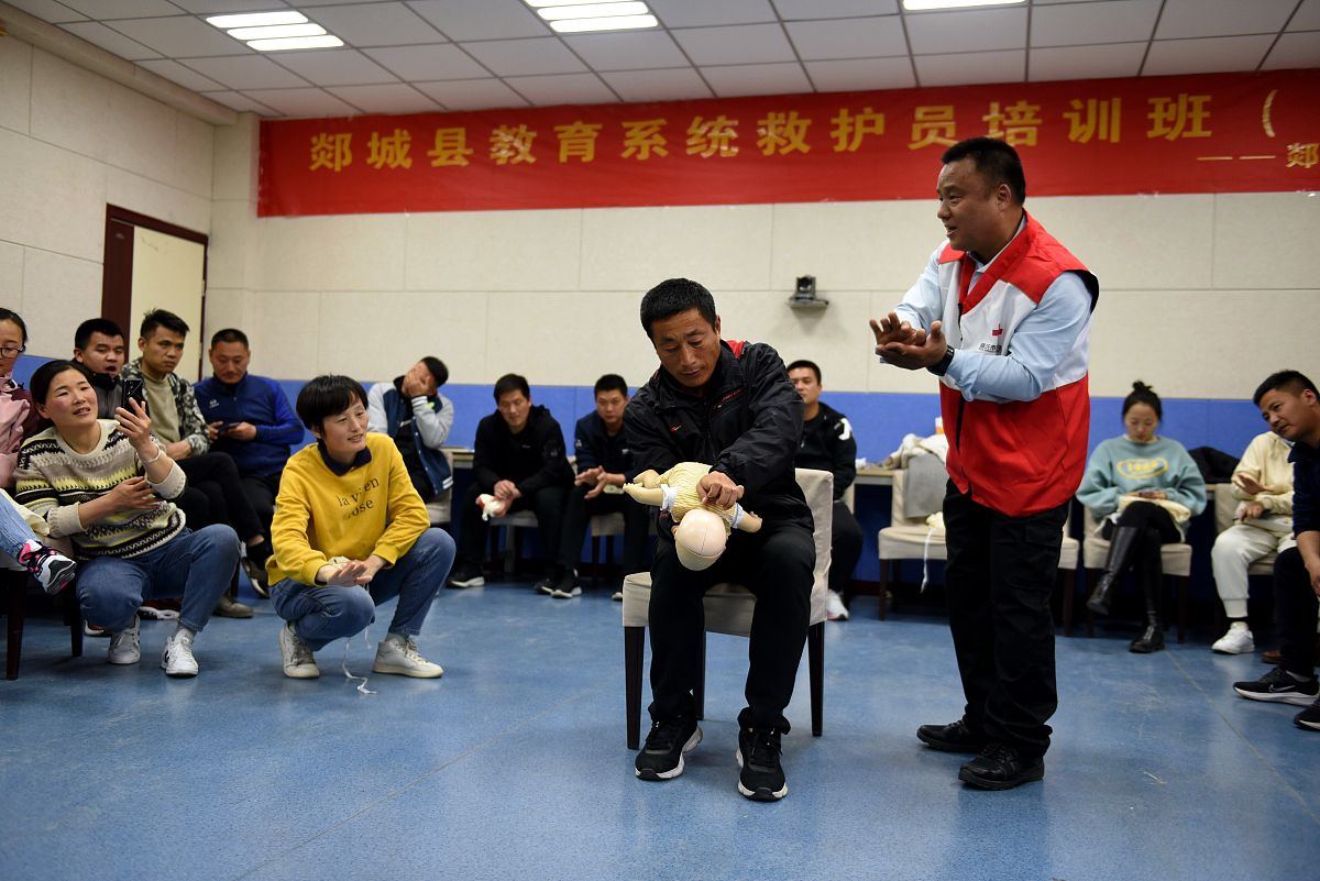 对以下内容进行适当的扩句：可以看到在理想模型情况下支架与气道的变形与受力均小于狭窄气道等比例重构模型支架对气道所施加的力比较平均和分散导致支架在较大范围内均提供了比较平均的支撑力但无法对最狭窄处形成较大支撑力。而等比例重构模型情况下支架几乎仅对最狭窄处有较大的支撑力和变形其余部分则受力与变形均较小。所以对比理想模型等比例模型的优势是对于气道狭窄处的变形与支架支撑时的变形有较为准确的模拟结果。