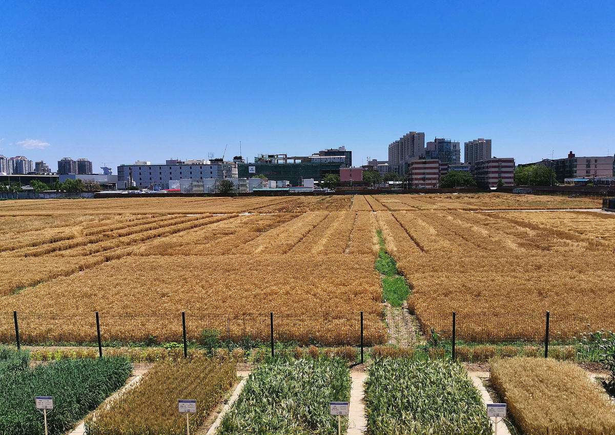 重庆第二农业学校现代农艺技术专业怎么样