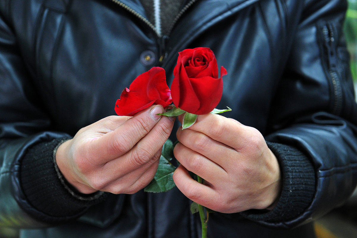 玫瑰真诚的说一句对不起了玫瑰合十合十合十抱拳拥抱拥抱怎么回复