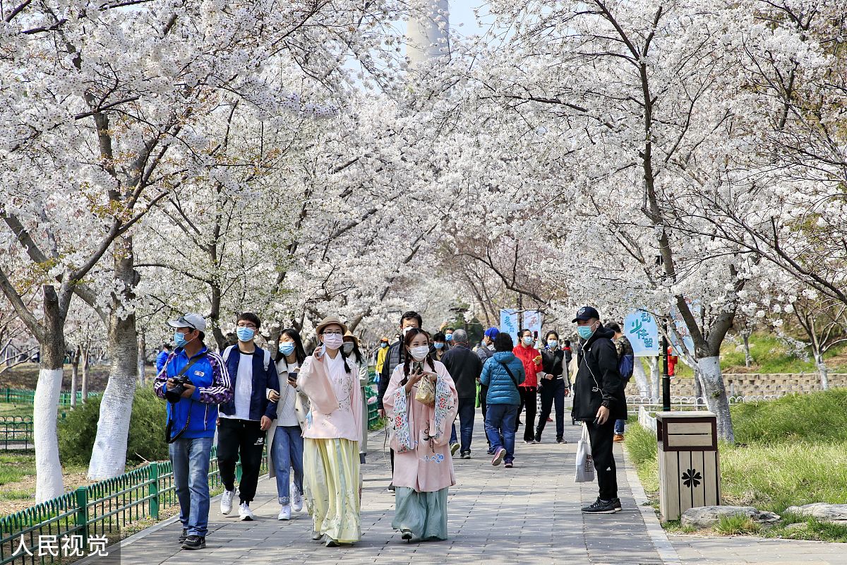 2020年3月29日,北京,玉渊潭公园樱花盛放,吸引市民前来赏花.