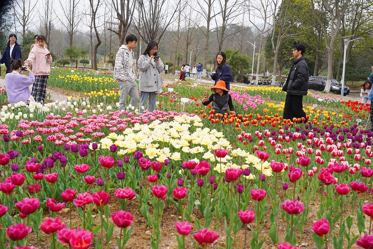 SQL 查询过去一年每个月的销售额、商品数和新增用户数