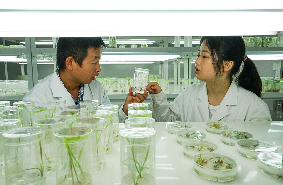 内蒙古农业大学水利类专业怎么样