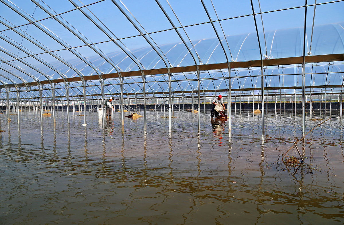 四川省水产学校2022年热门专业有哪些