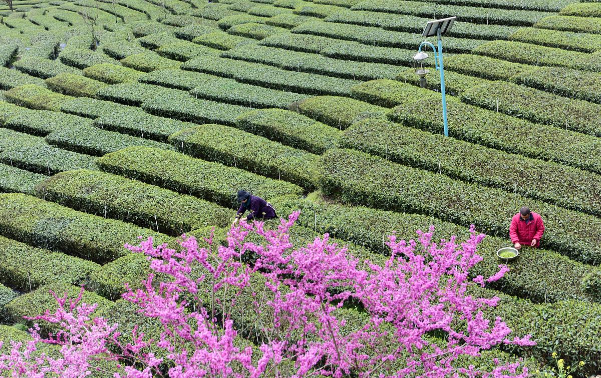 恩施民族技工学校2022年招生简章