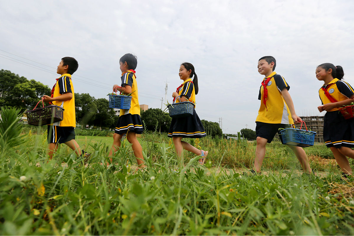🌻 少年农场：在希望田野上，绽放青春梦想 🌻