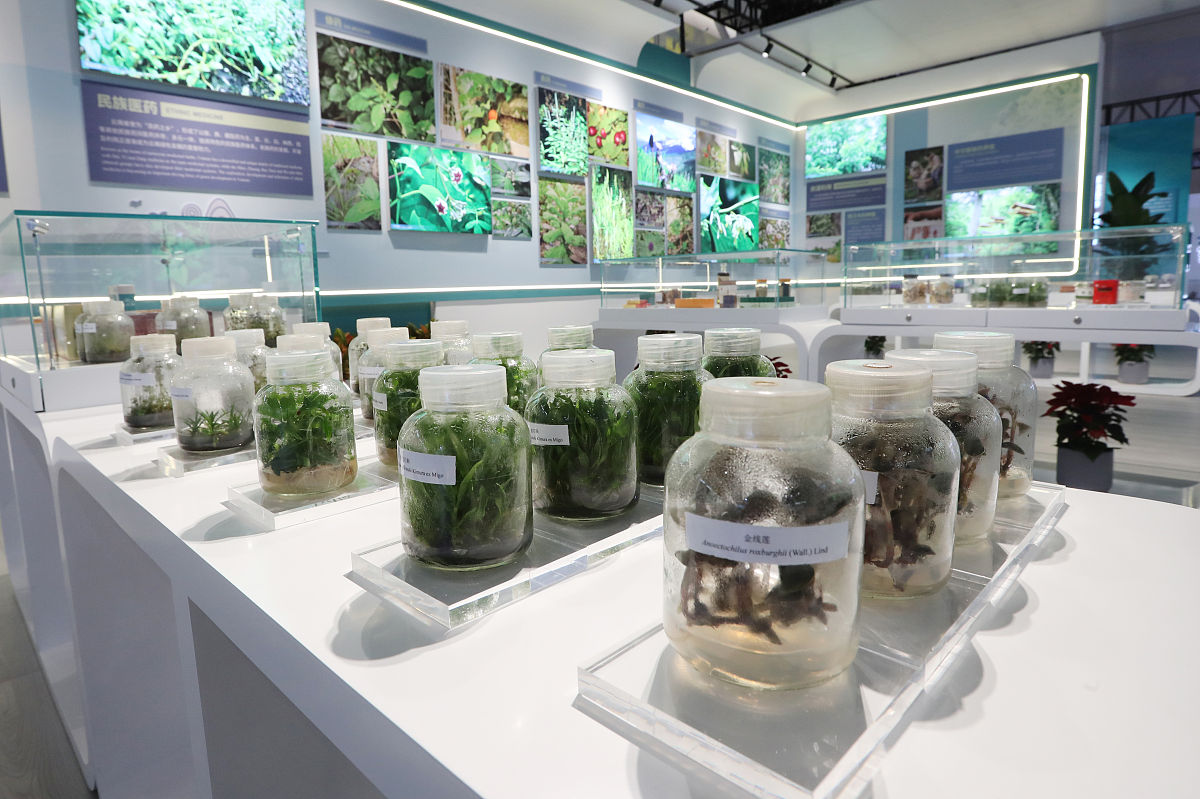 文化的多样性、遗产保护、交流与融合：深入探讨文化现象与社会发展