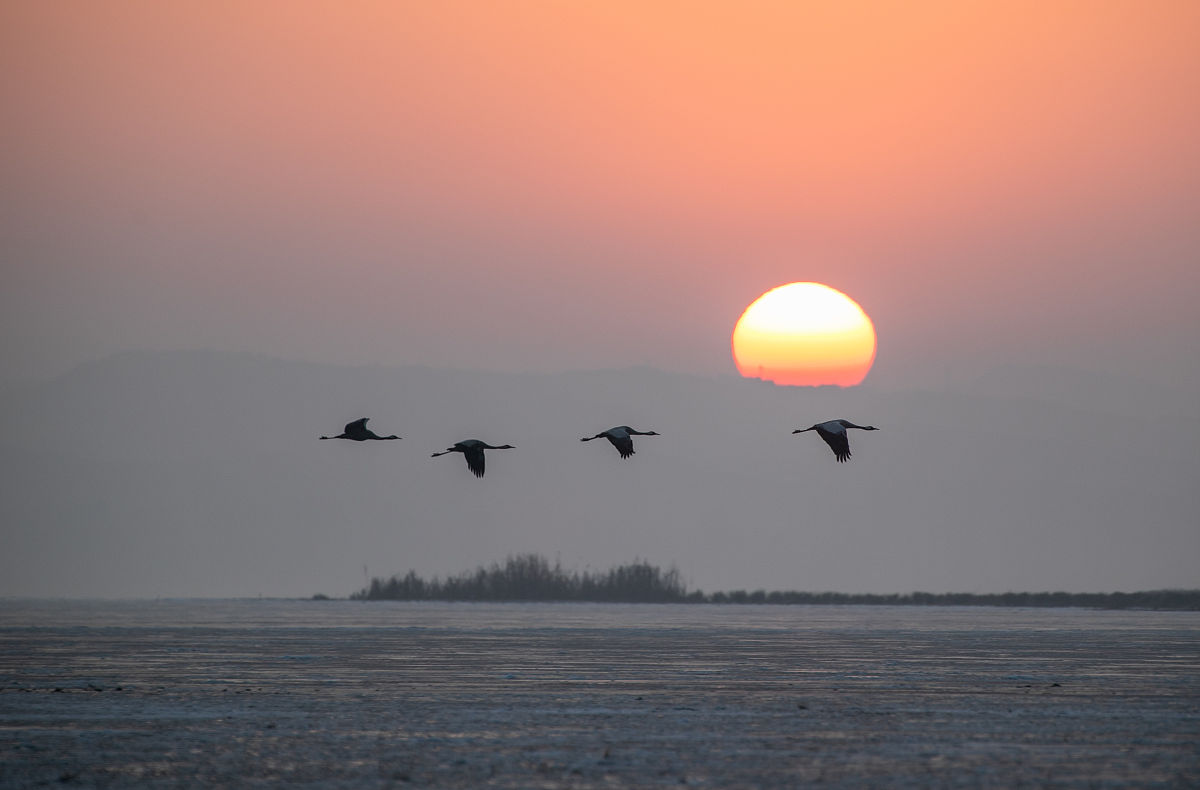 贵州铁路技师学院电梯工程技术专业课程设置有哪些怎么样