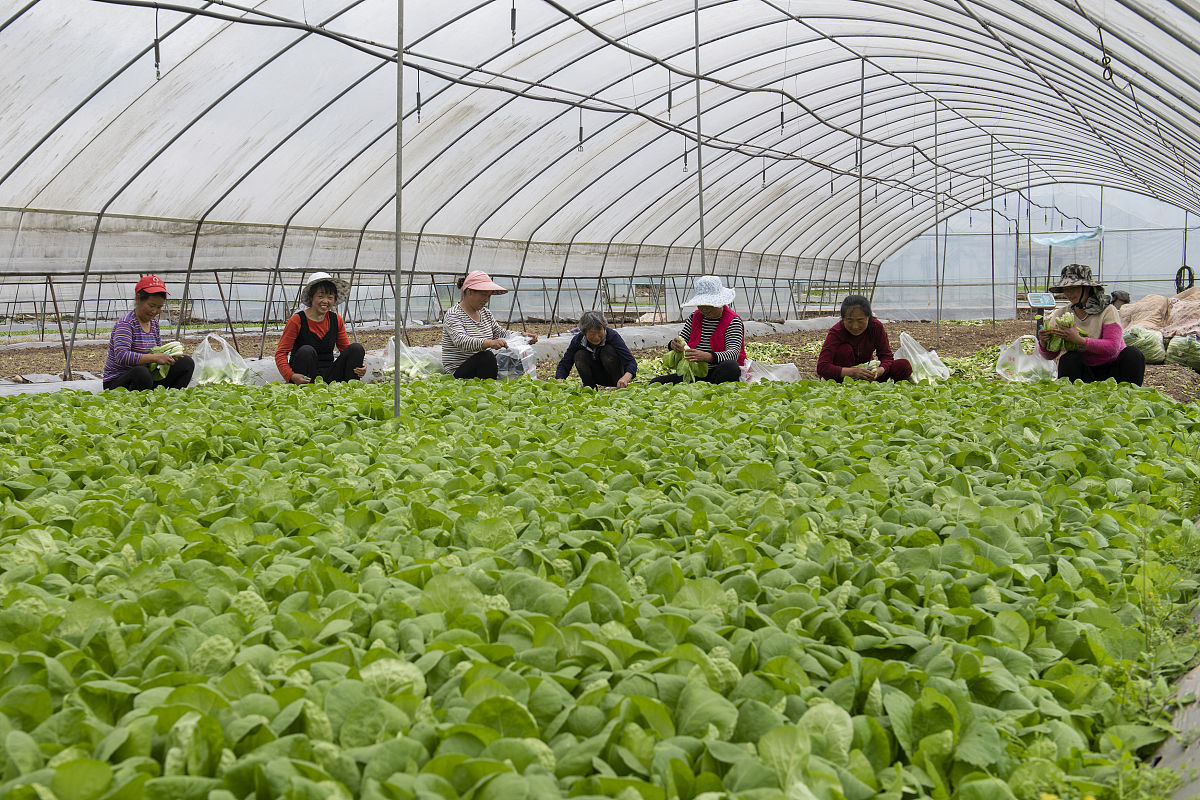 瑞安农业技术学校2023年招生办电话是多少-好不好