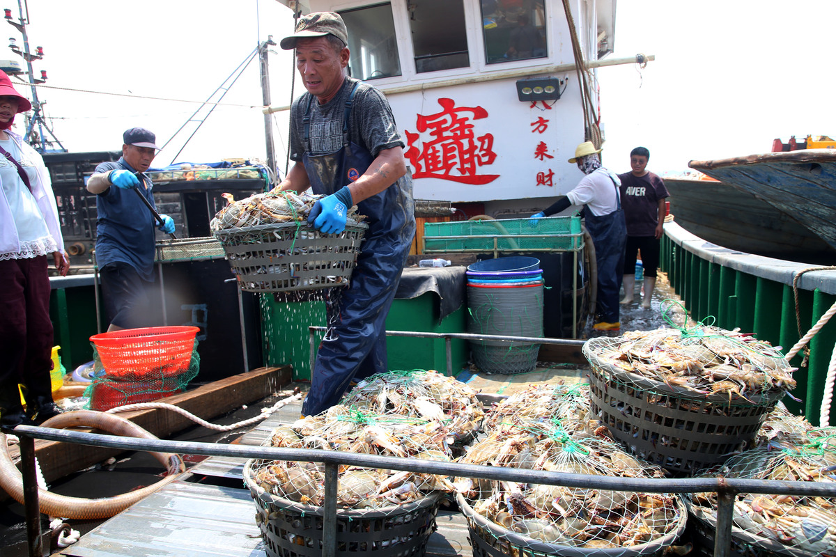 渔船带货生鲜店铺起名：10个创意名称助你脱颖而出