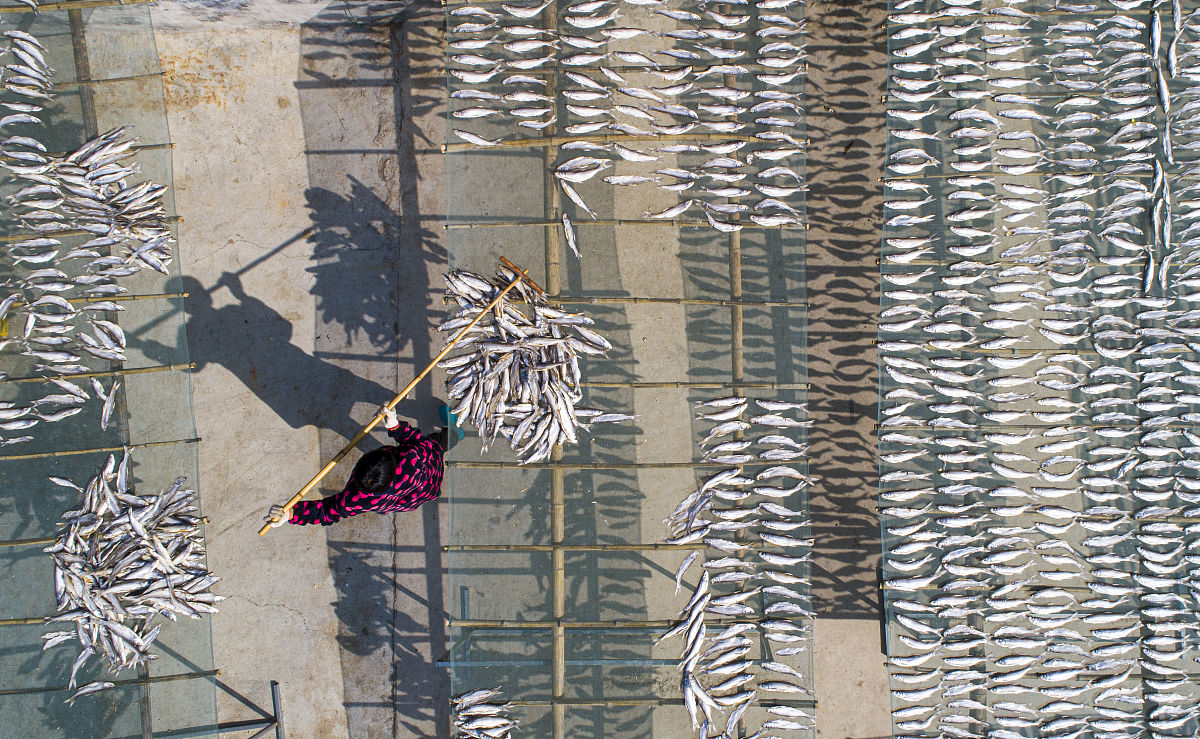 重庆大足幼师职业教育中心地址在哪里