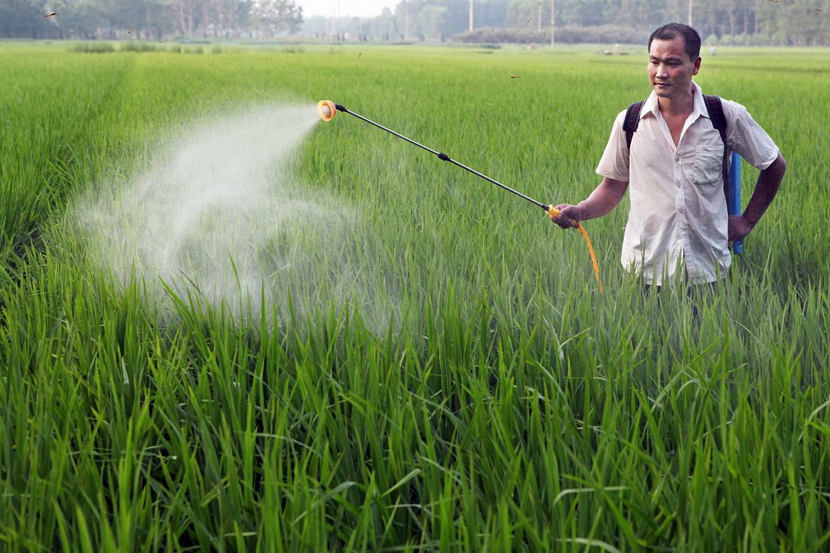 详细解释害虫综合防治的概念和原理并讨论其在农业生产中的重要性和应用前景。25分