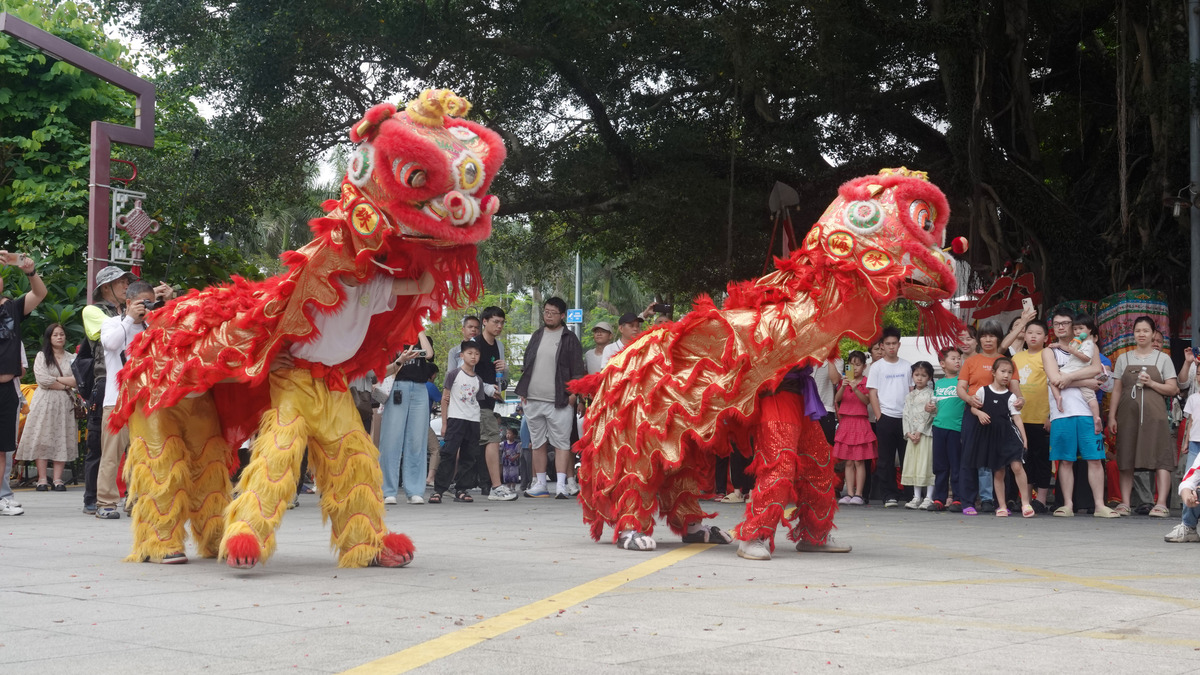 舞狮：中国传统文化中的精彩表演
