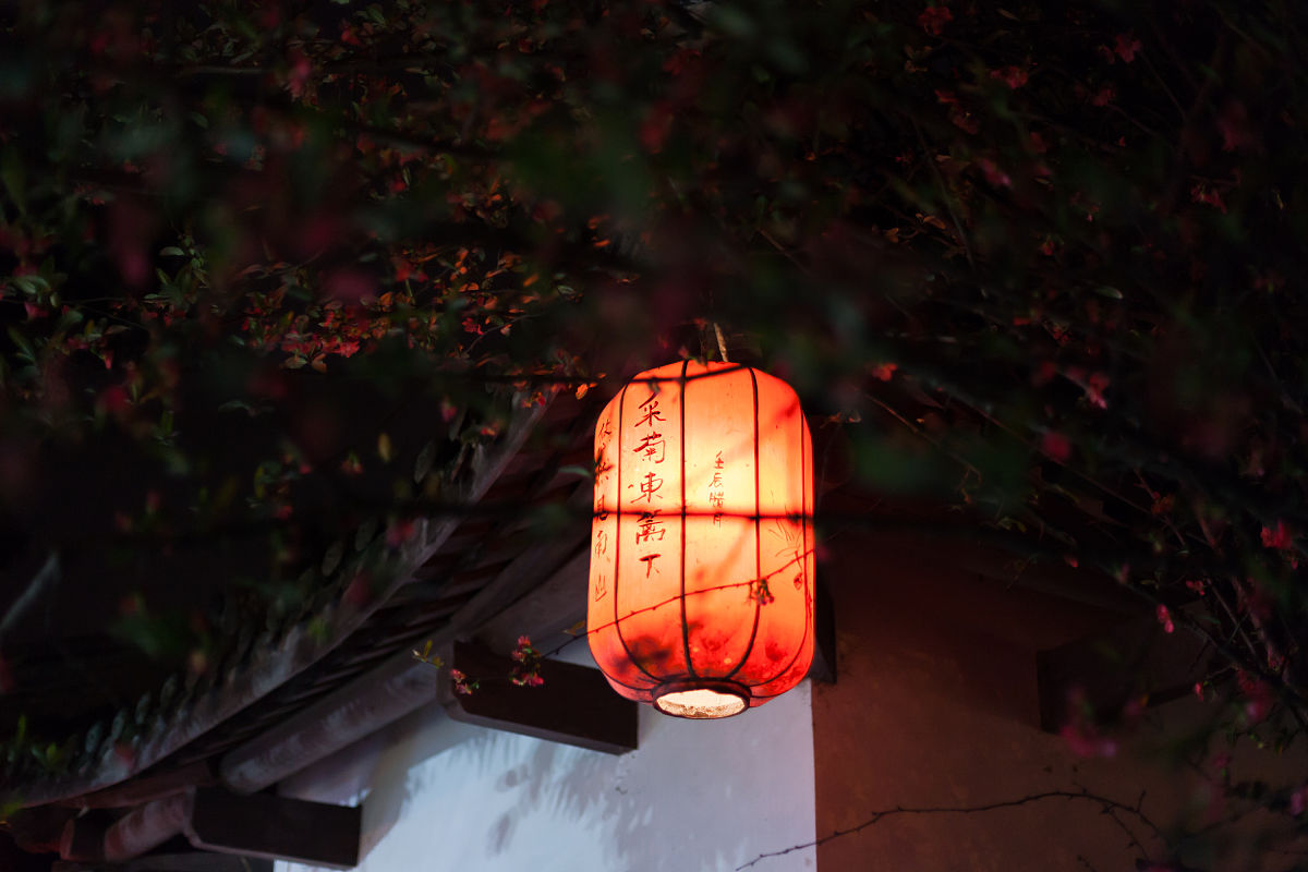 灯与河川 二月人间什么含义，