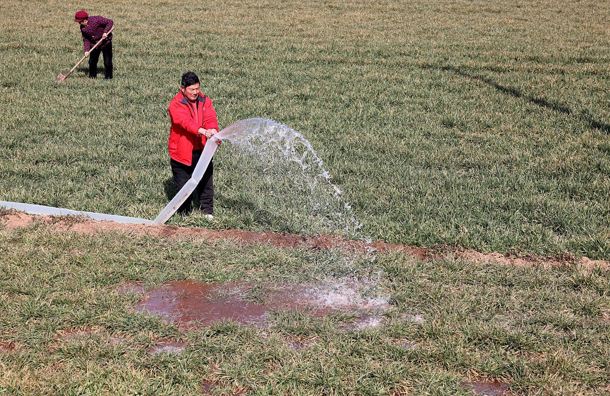 二甲戊灵喷施效果与土壤墒情关系