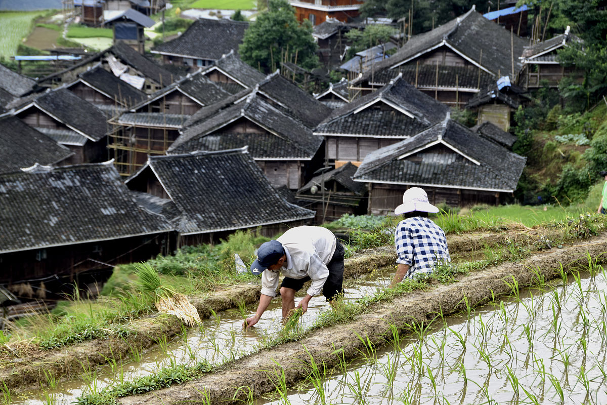 2019年贵州省有康复治疗专业的专科学校